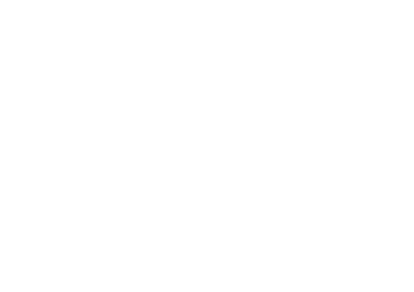 logo of the project